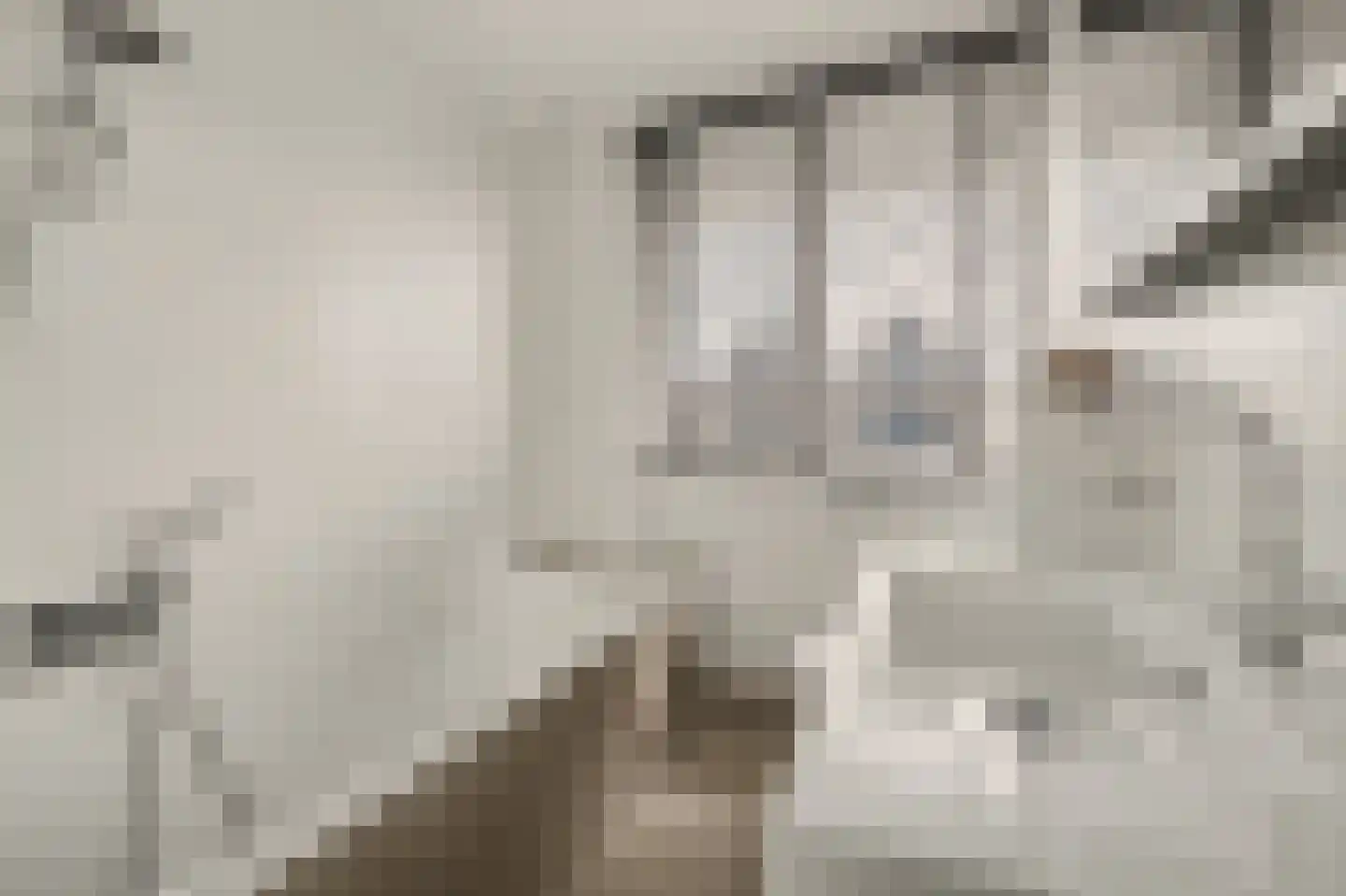 Ambrosiushof 31 Haarsteeg thumbnail 17