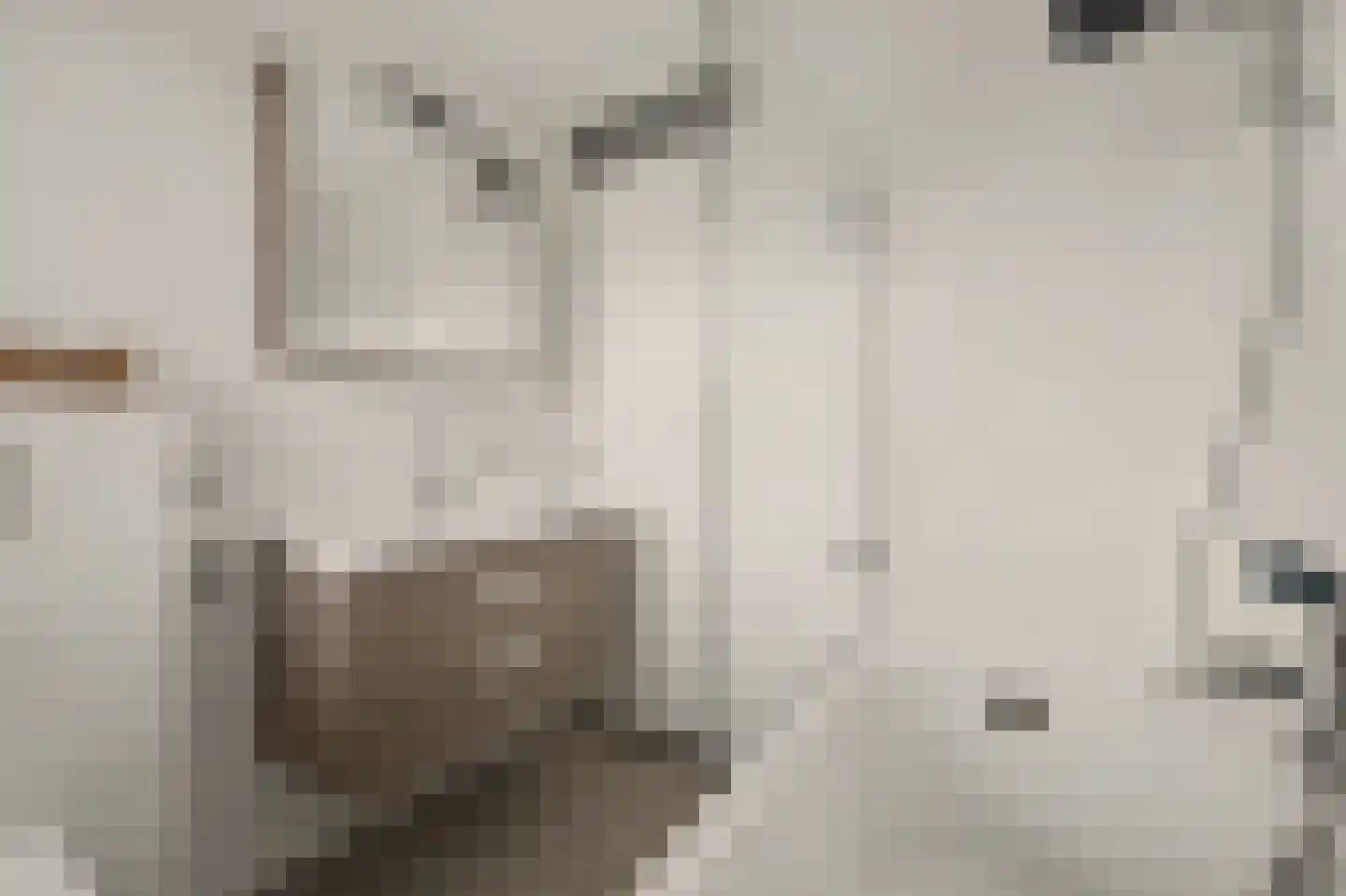 Ambrosiushof 31 Haarsteeg thumbnail 18