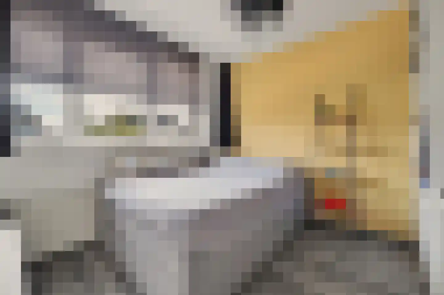 Ambrosiushof 31 Haarsteeg thumbnail 20
