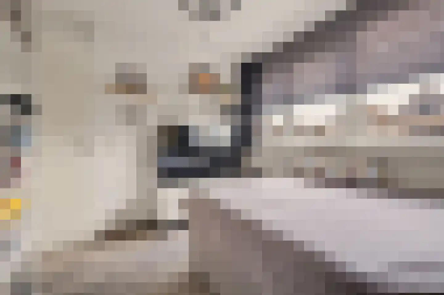 Ambrosiushof 31 Haarsteeg thumbnail 21