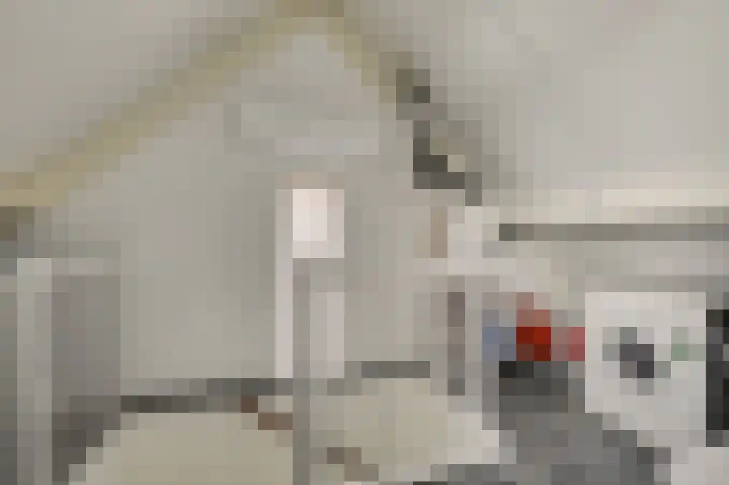 Ambrosiushof 31 Haarsteeg thumbnail 26