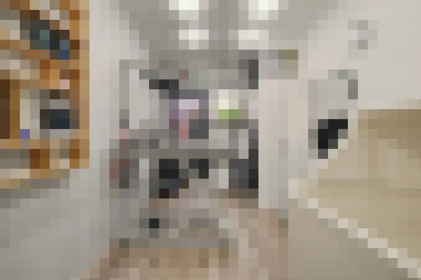 Ambrosiushof 31 Haarsteeg thumbnail 30