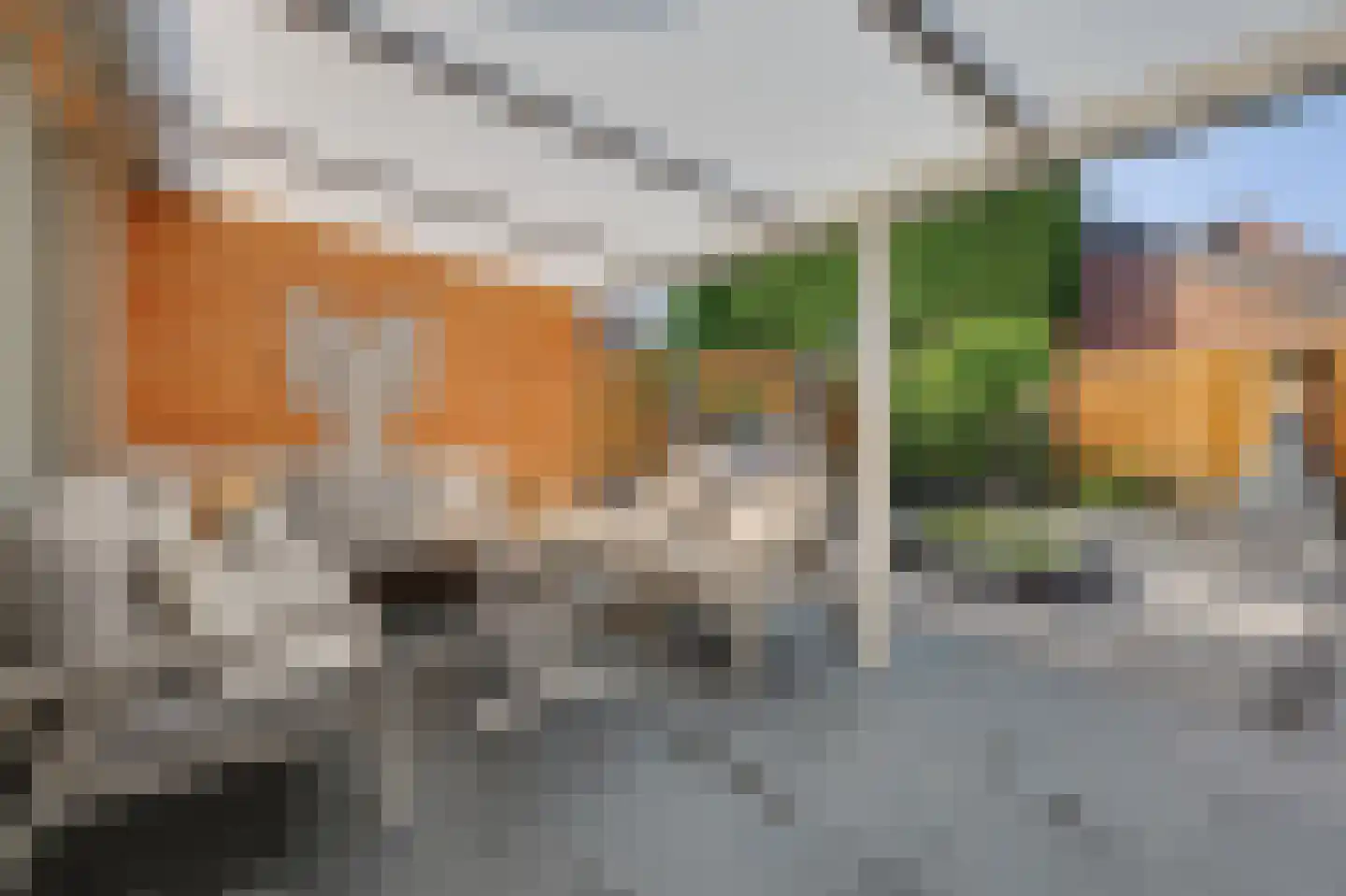 Ambrosiushof 31 Haarsteeg thumbnail 33