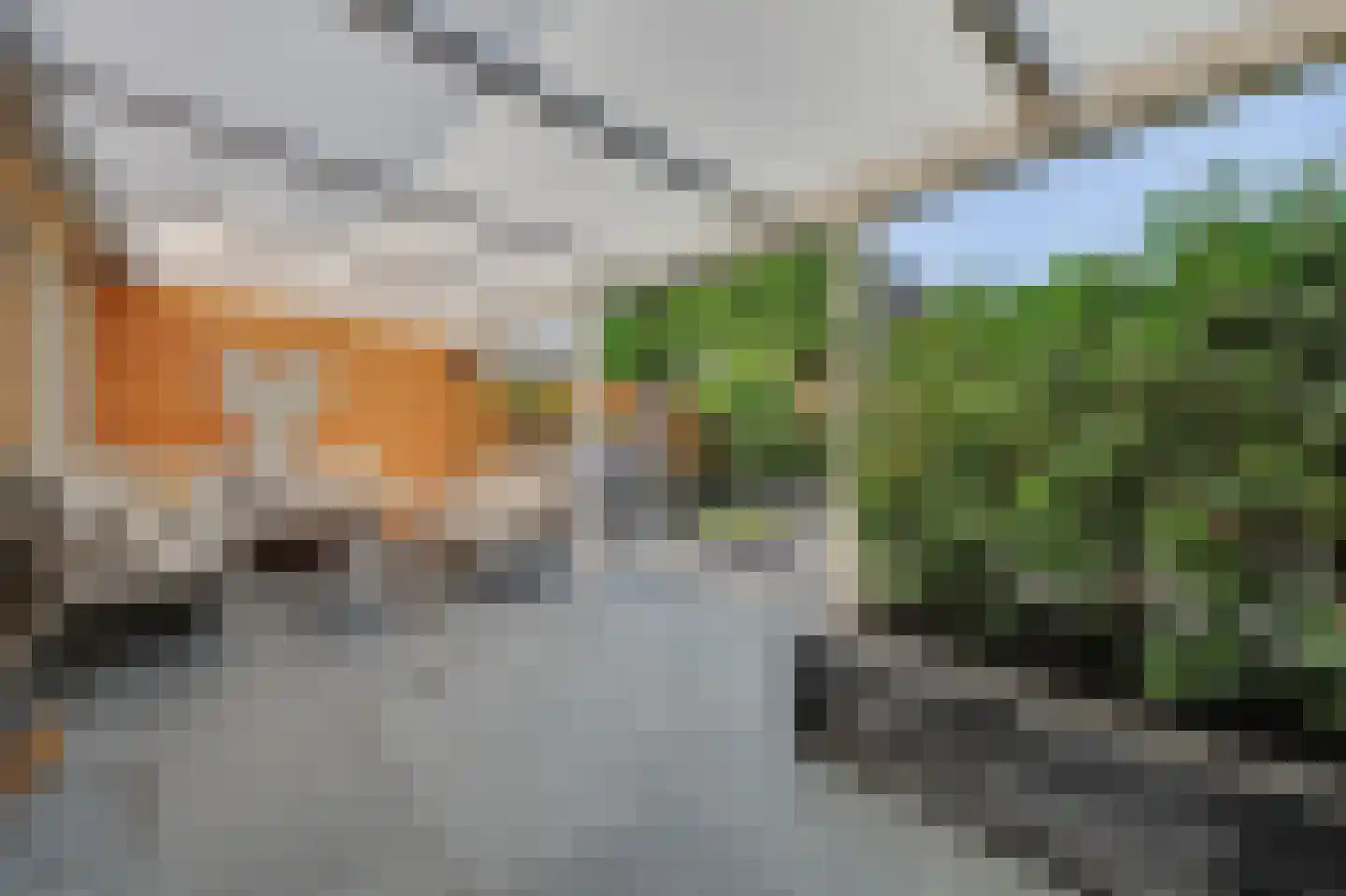 Ambrosiushof 31 Haarsteeg thumbnail 35