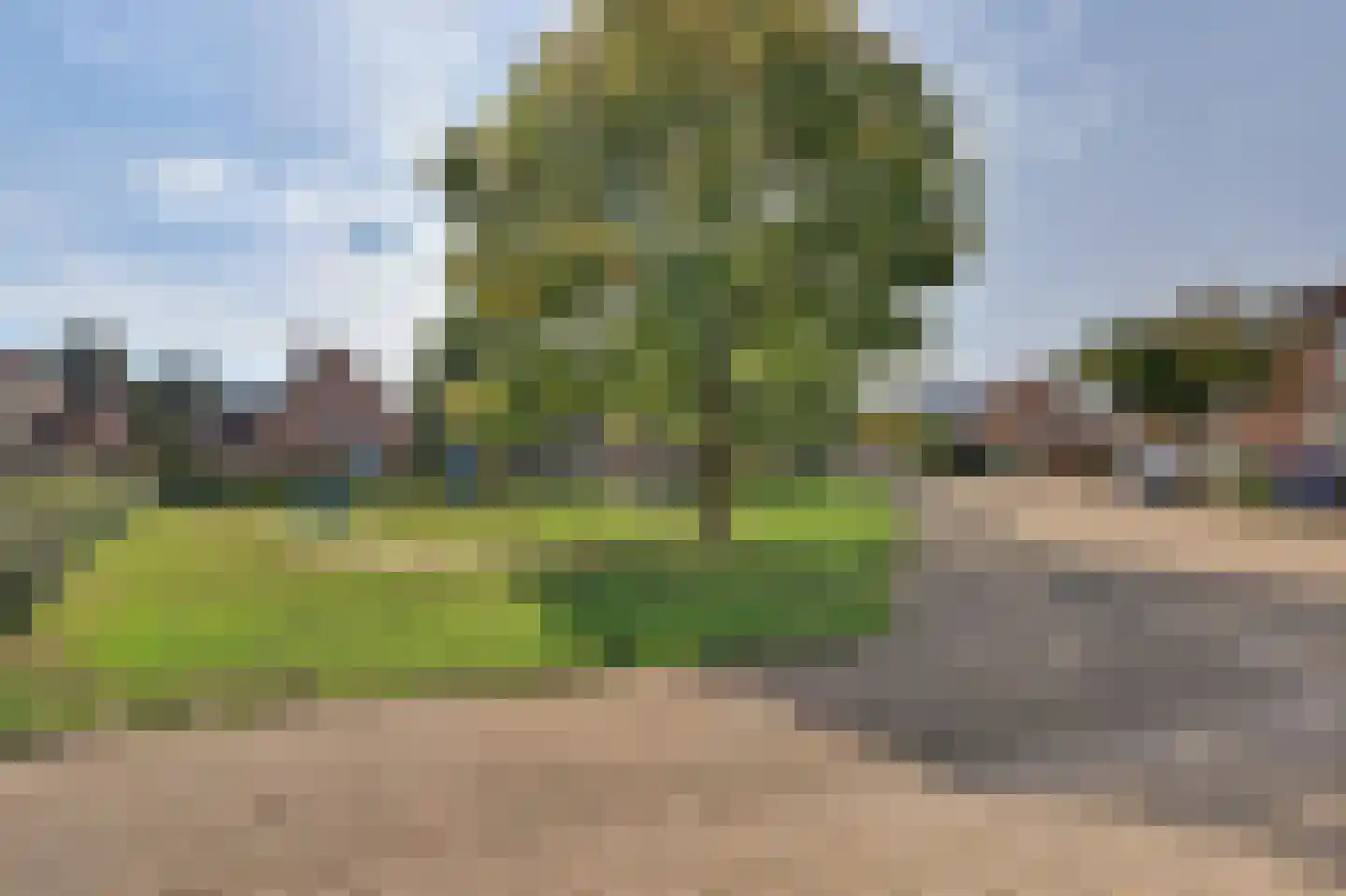 Ambrosiushof 31 Haarsteeg thumbnail 41