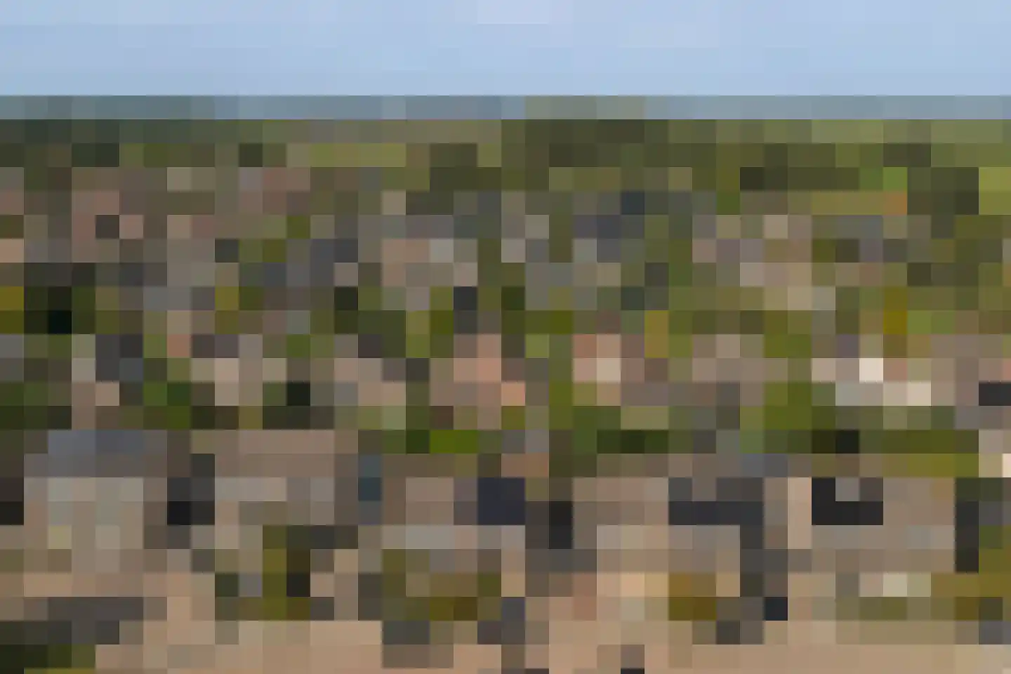 Ambrosiushof 31 Haarsteeg thumbnail 43