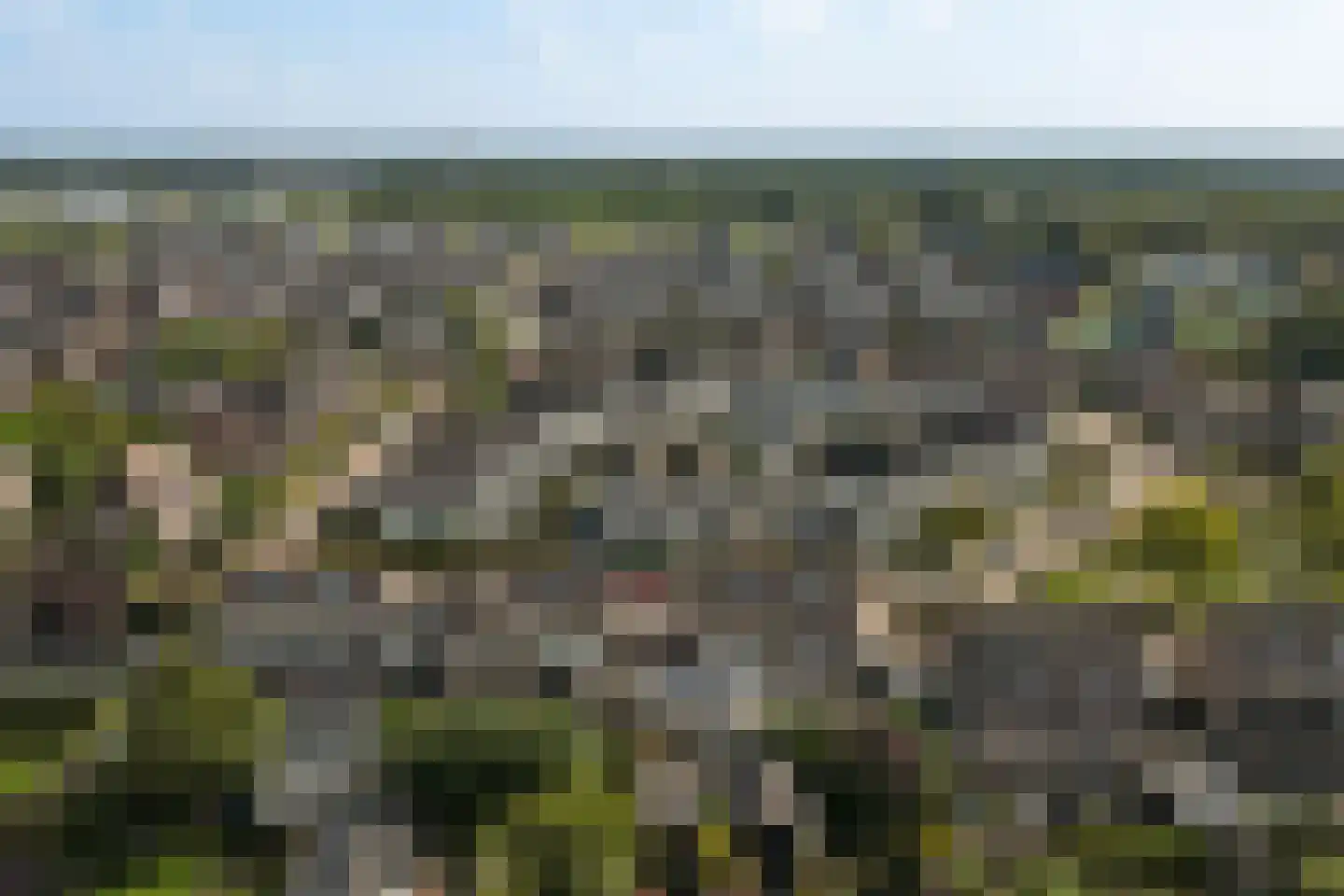 Ambrosiushof 31 Haarsteeg thumbnail 44