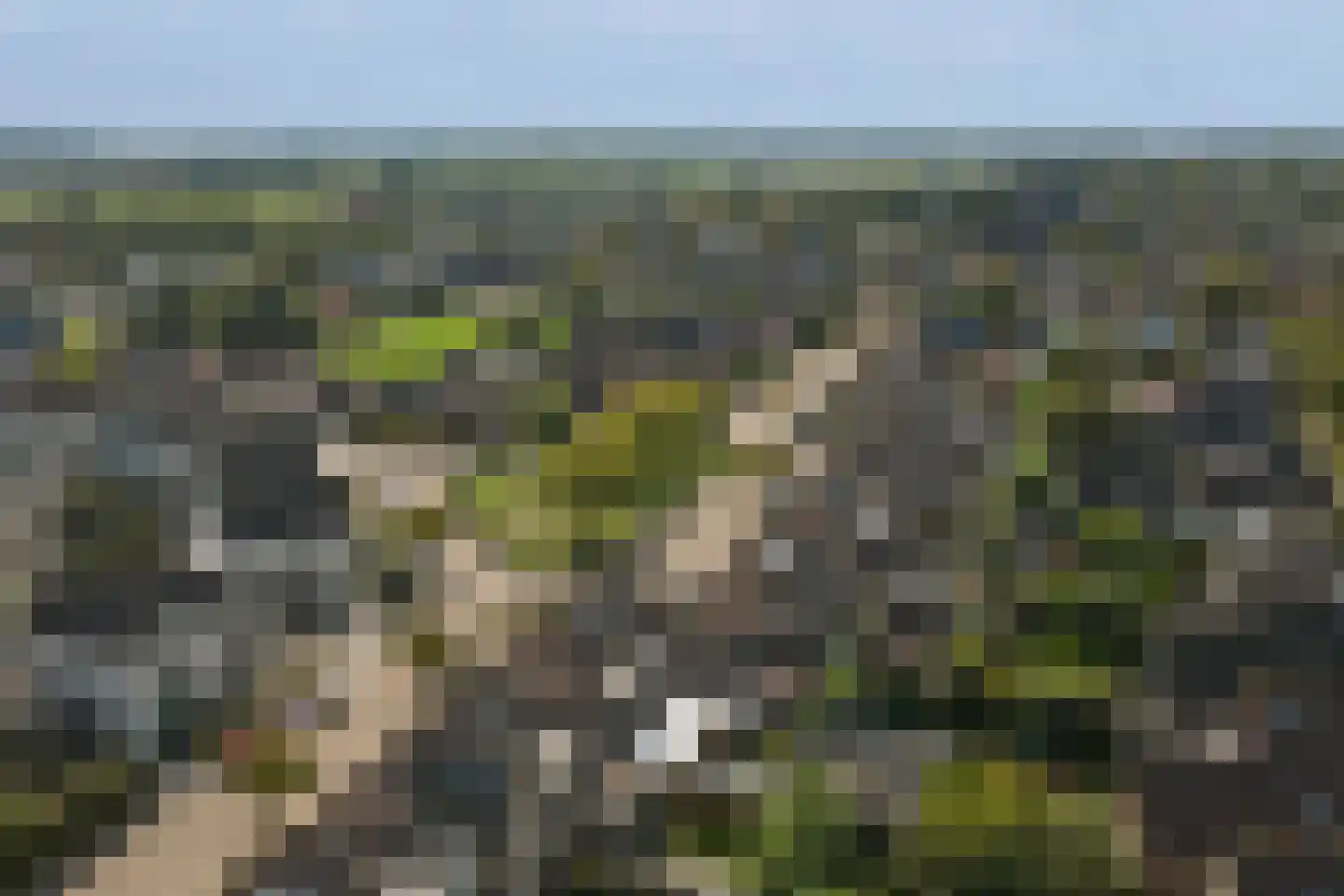 Ambrosiushof 31 Haarsteeg thumbnail 45