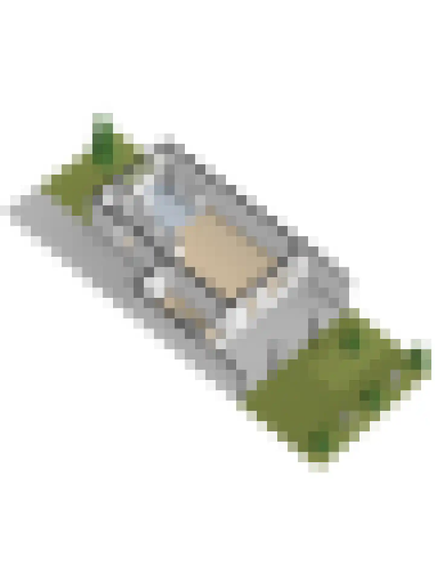 Ambrosiushof 31 Haarsteeg thumbnail 53