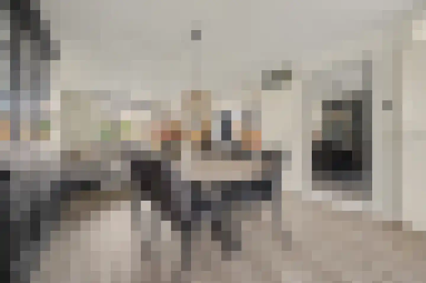 Ambrosiushof 31 Haarsteeg thumbnail 7