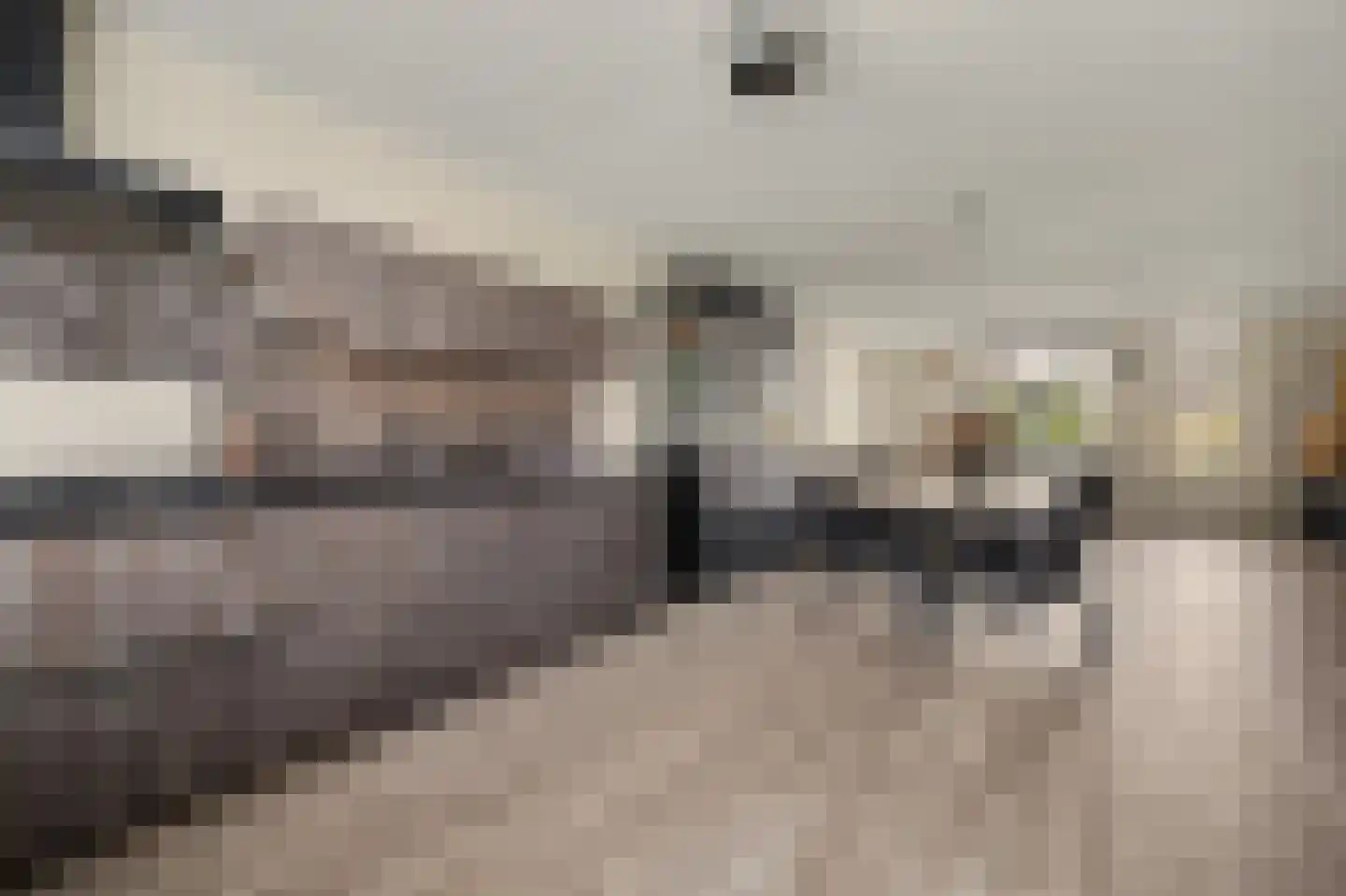 Ambrosiushof 31 Haarsteeg thumbnail 8