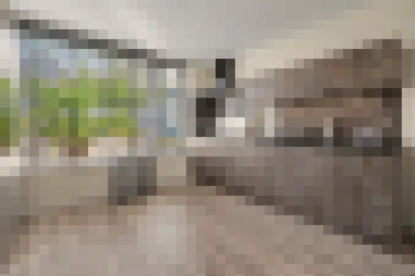 Ambrosiushof 31 Haarsteeg thumbnail 9