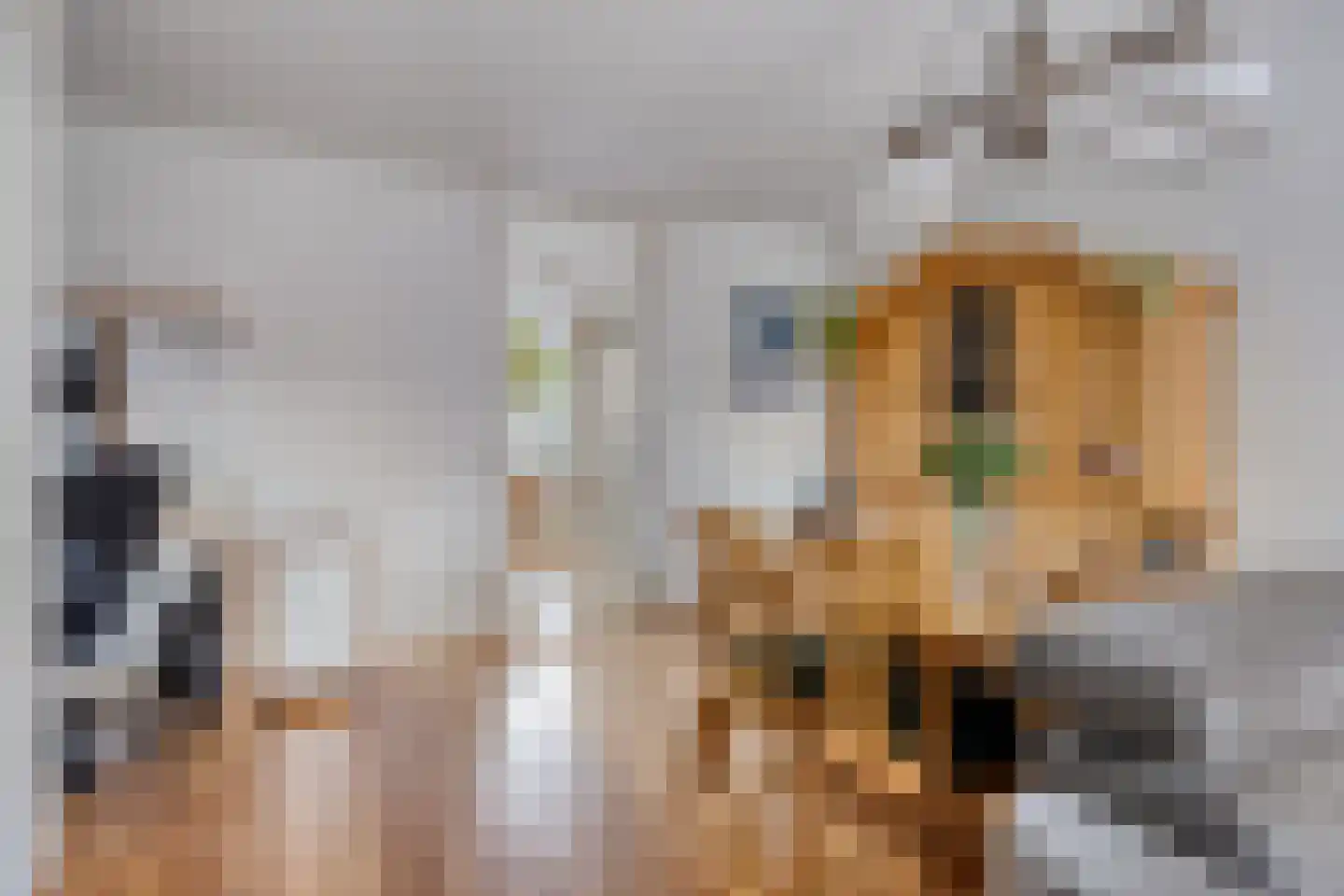 Ambrosiushof 9 Haarsteeg thumbnail 14