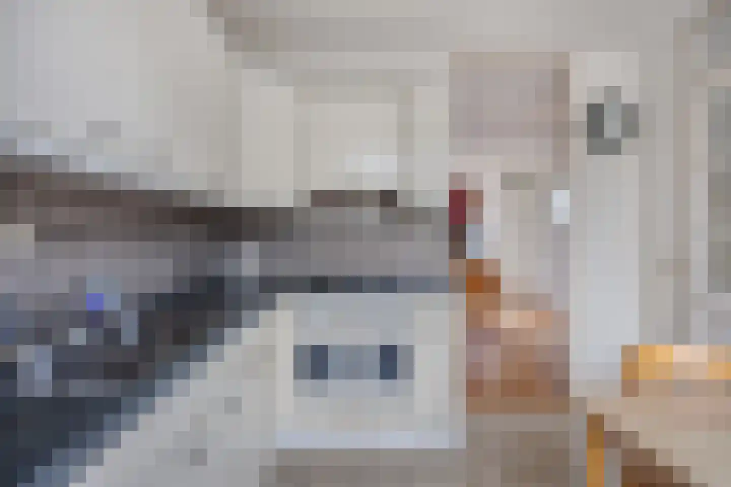 Ambrosiushof 9 Haarsteeg thumbnail 16