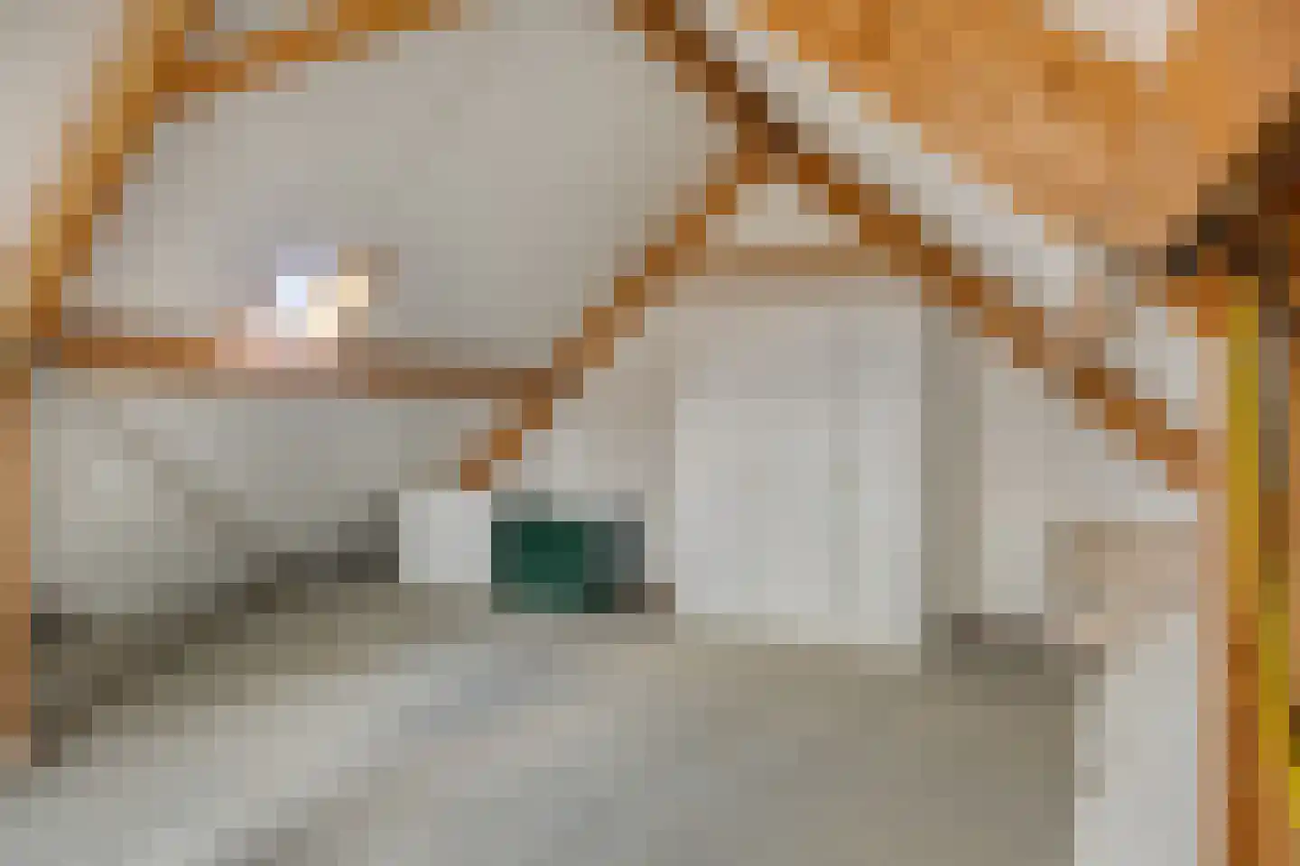 Ambrosiushof 9 Haarsteeg thumbnail 28