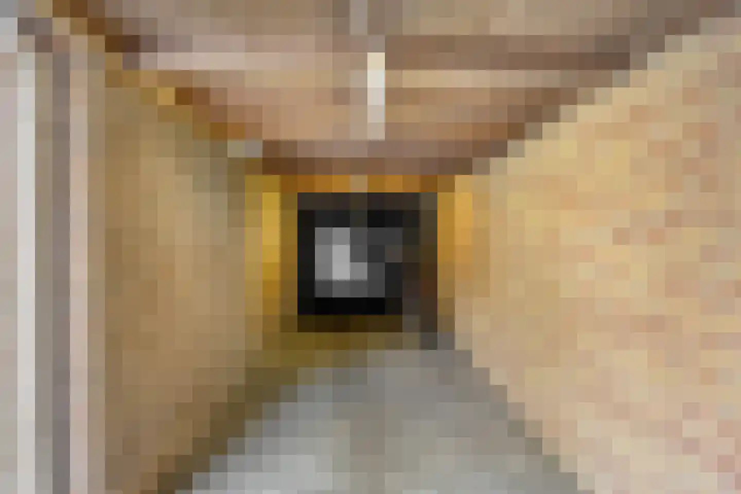 Ambrosiushof 9 Haarsteeg thumbnail 32