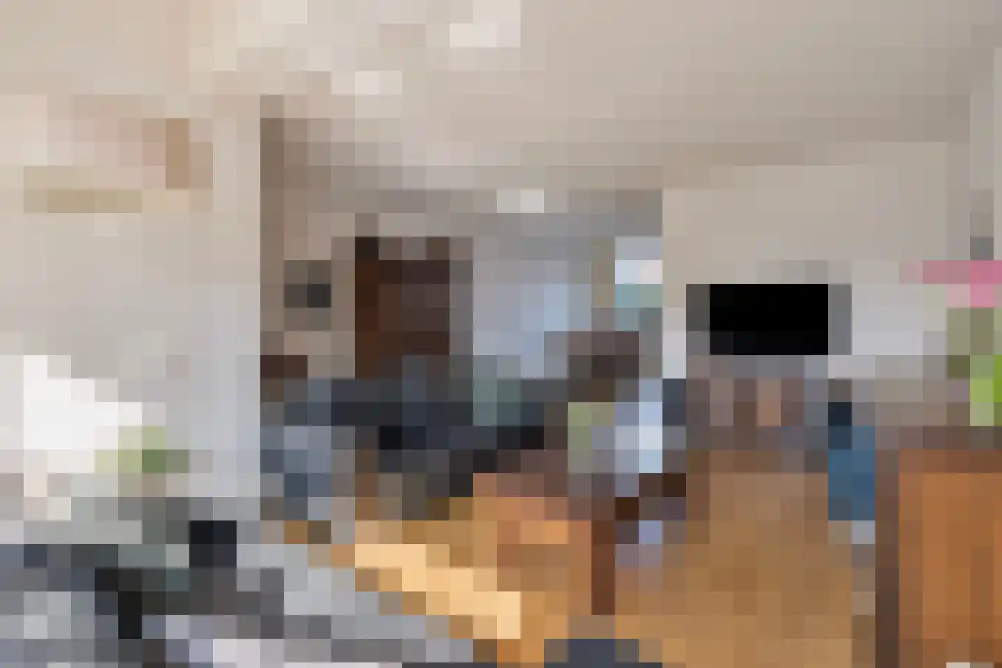 Ambrosiuslaan 33 Venlo thumbnail 5