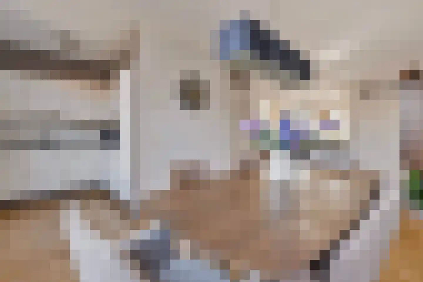 Ambrosiuslaan 33 Venlo thumbnail 8