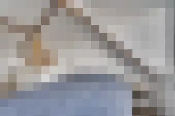 Ambrosiuslaan 41 Venlo thumbnail 32