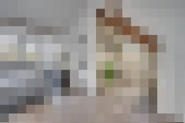 Ambrosiuslaan 41 Venlo thumbnail 33