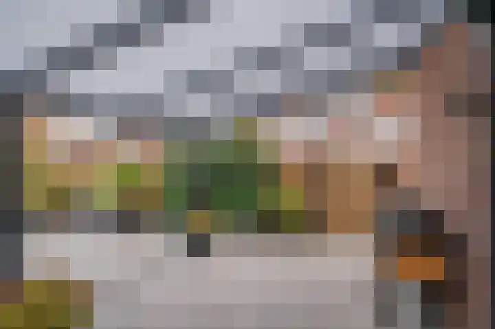 Ambrosiuslaan 41 Venlo thumbnail 38