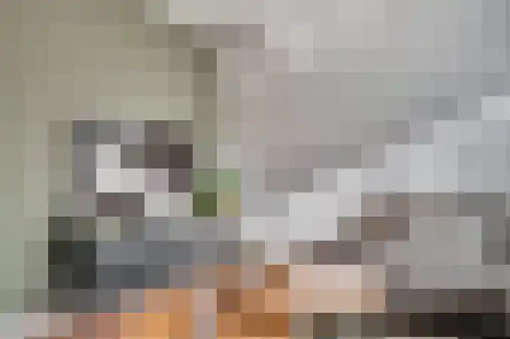 Ambrosiuslaan 41 Venlo thumbnail 7