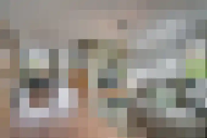 Ambrosiuslaan 41 Venlo thumbnail 8