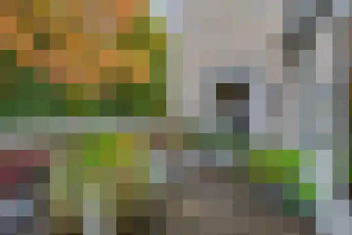 Ambrosiuslaan 71 Venlo thumbnail 12