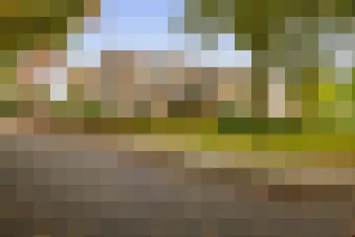 Ambrosiuslaan 71 Venlo thumbnail 28