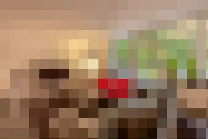 Ambrosiuslaan 71 Venlo thumbnail 5