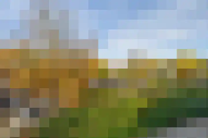 Ambrosiuslaan 79 Venlo thumbnail 11