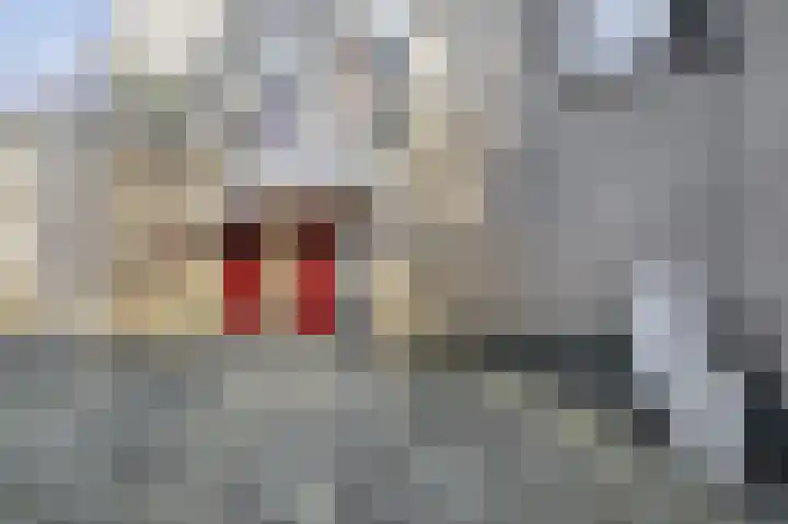 Ambrosiuslaan 79 Venlo thumbnail 21