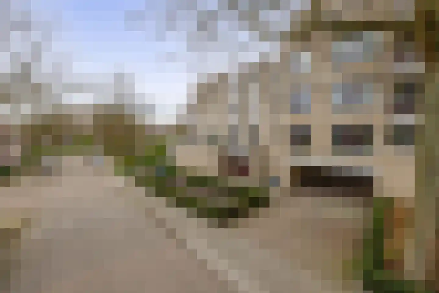 Ambrosiuslaan 81 Venlo thumbnail 27