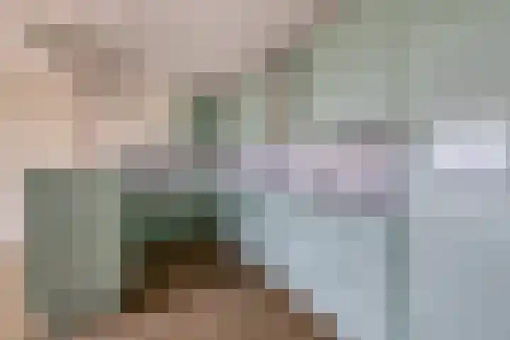 Ambrosiuslaan 81 Venlo thumbnail 8