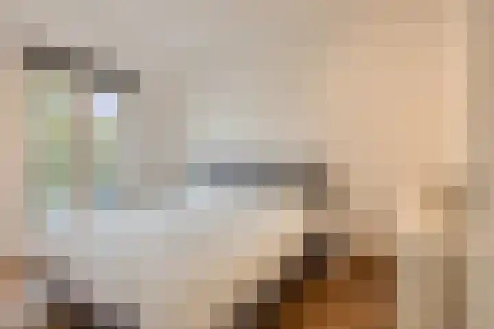 Ambrosiusstraat 13 Loon op Zand thumbnail 10
