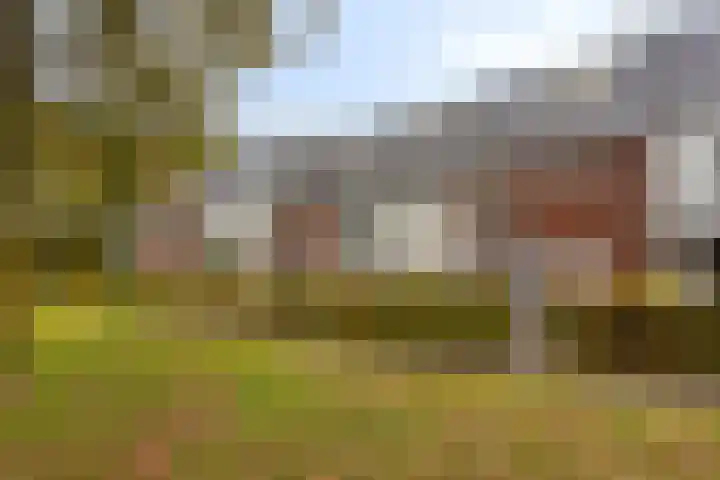 Ambrosiusstraat 13 Loon op Zand thumbnail 18