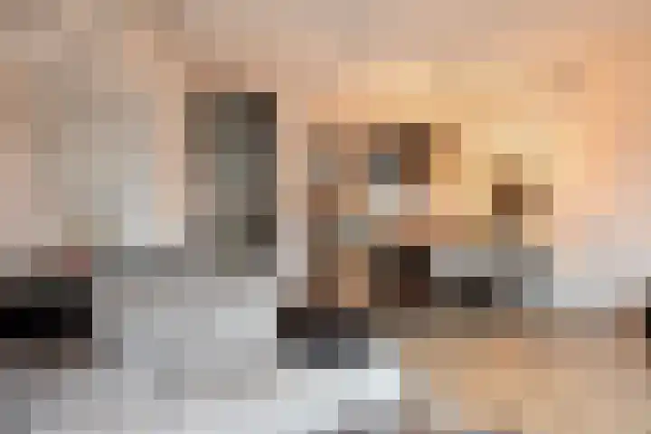 Ambrosiusstraat 13 Loon op Zand thumbnail 6