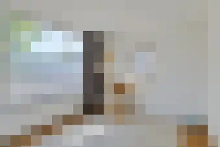Ambrosiusstraat 2 Tilburg thumbnail 20