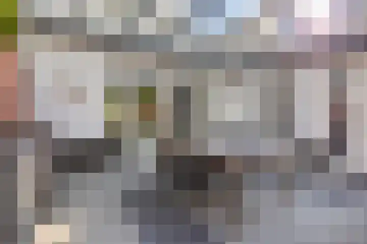 Ambrosiusstraat 65 Loon op Zand thumbnail 30