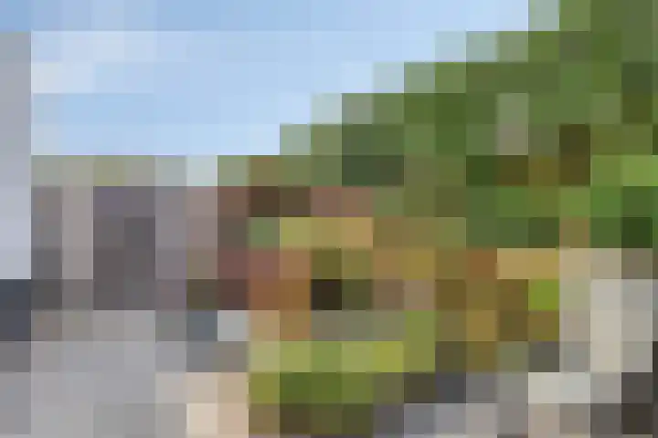 Ambrosiusstraat 65 Loon op Zand thumbnail 31