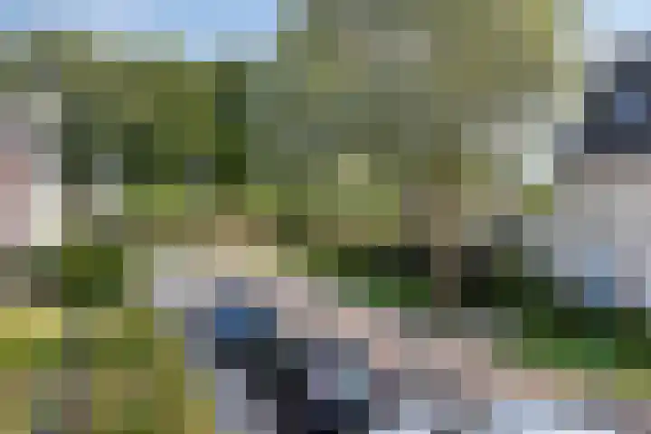 Ambrosiusstraat 65 Loon op Zand thumbnail 36