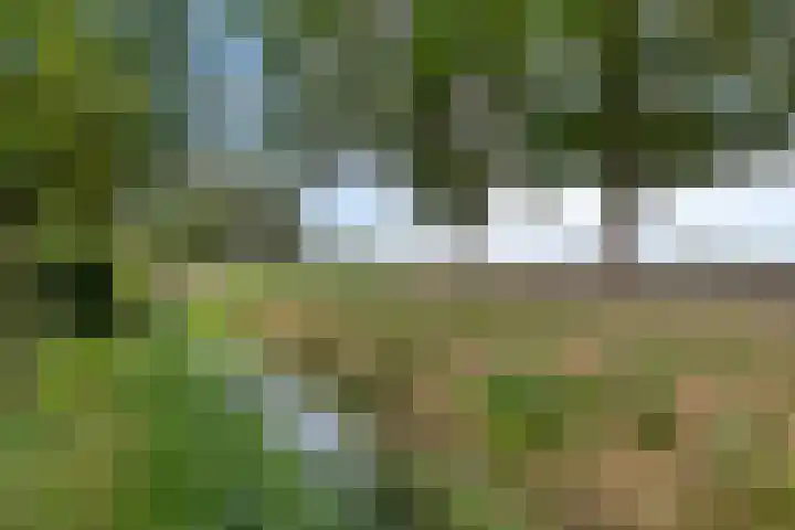 Ambrosiusstraat 65 Loon op Zand thumbnail 5