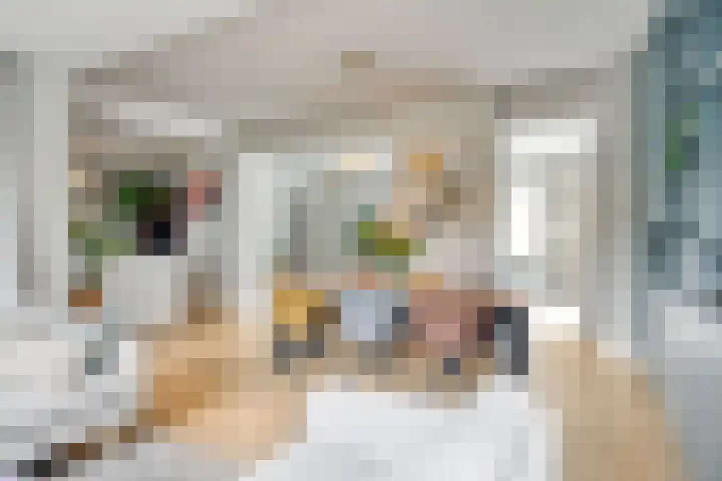 Ambrosiusweg 29 Waalwijk thumbnail 25