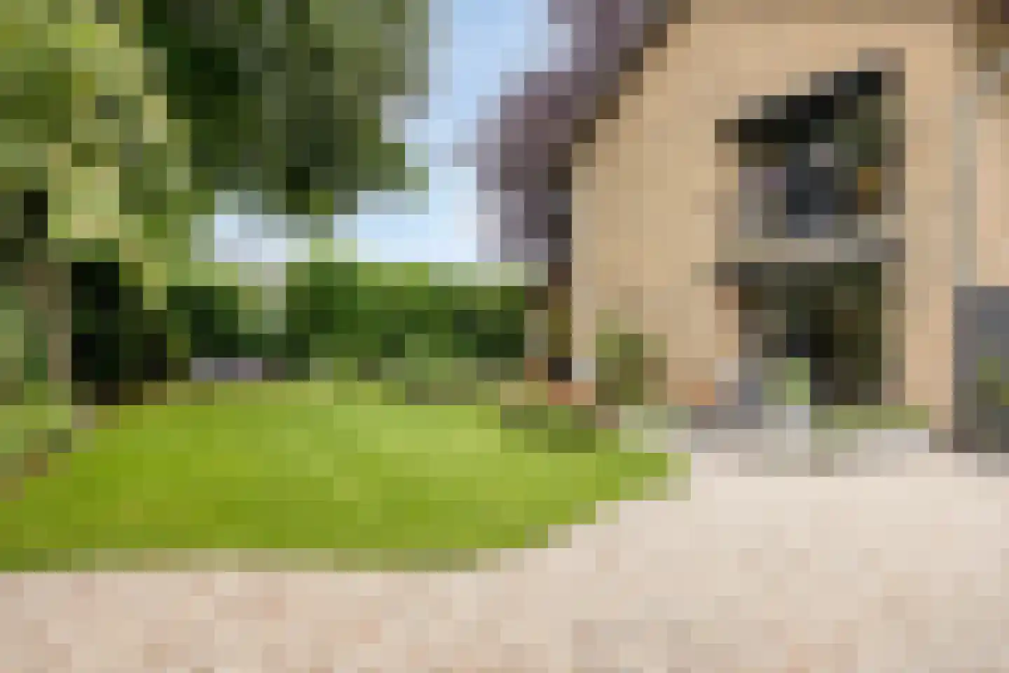 Ambrosiusweg 29 Waalwijk thumbnail 47