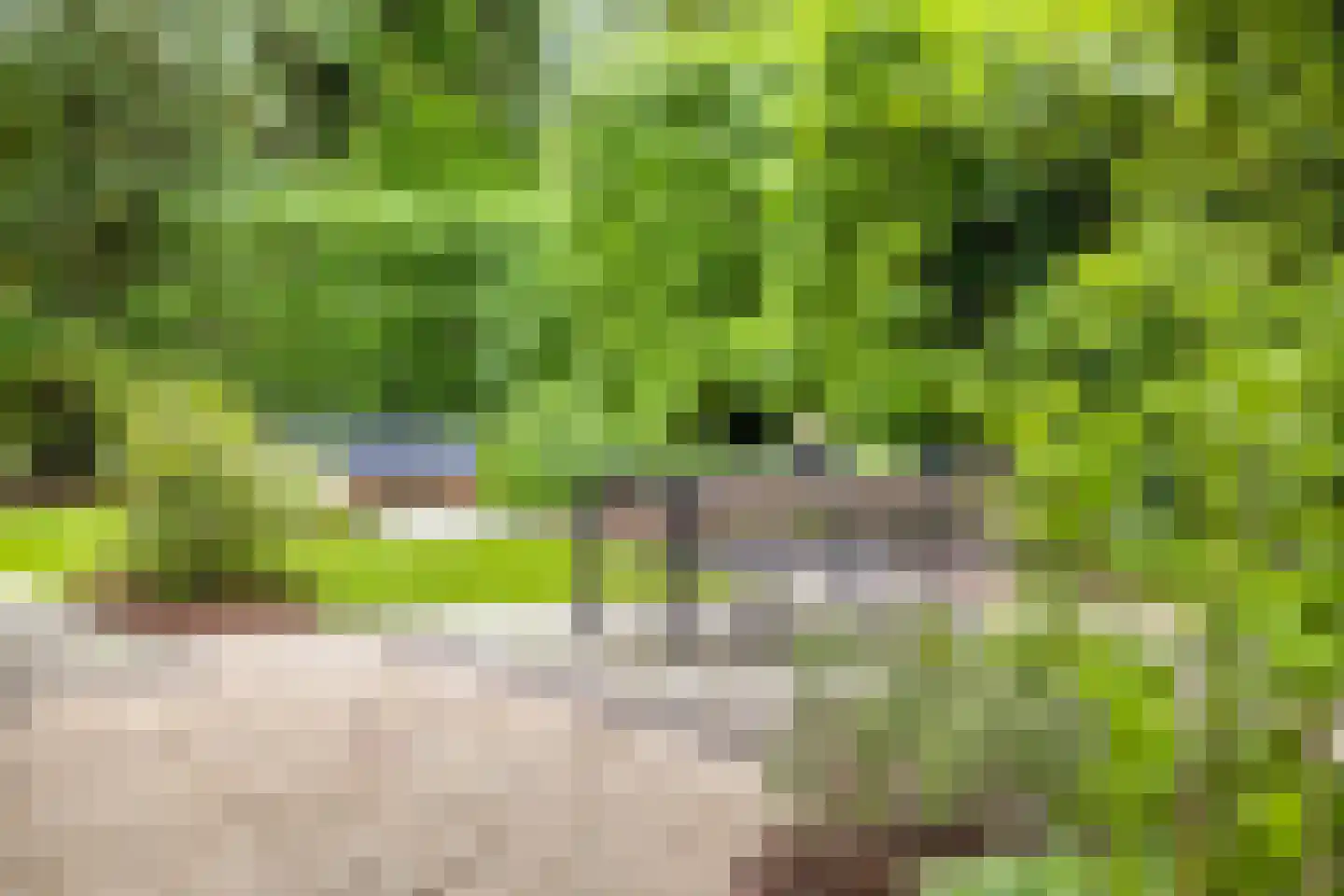 Ambrosiusweg 29 Waalwijk thumbnail 49