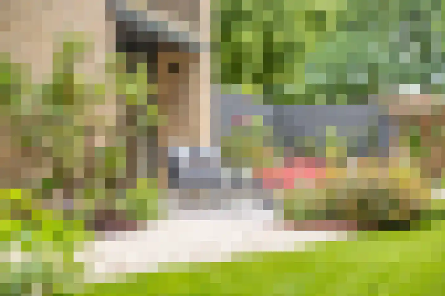 Ambrosiusweg 29 Waalwijk thumbnail 50