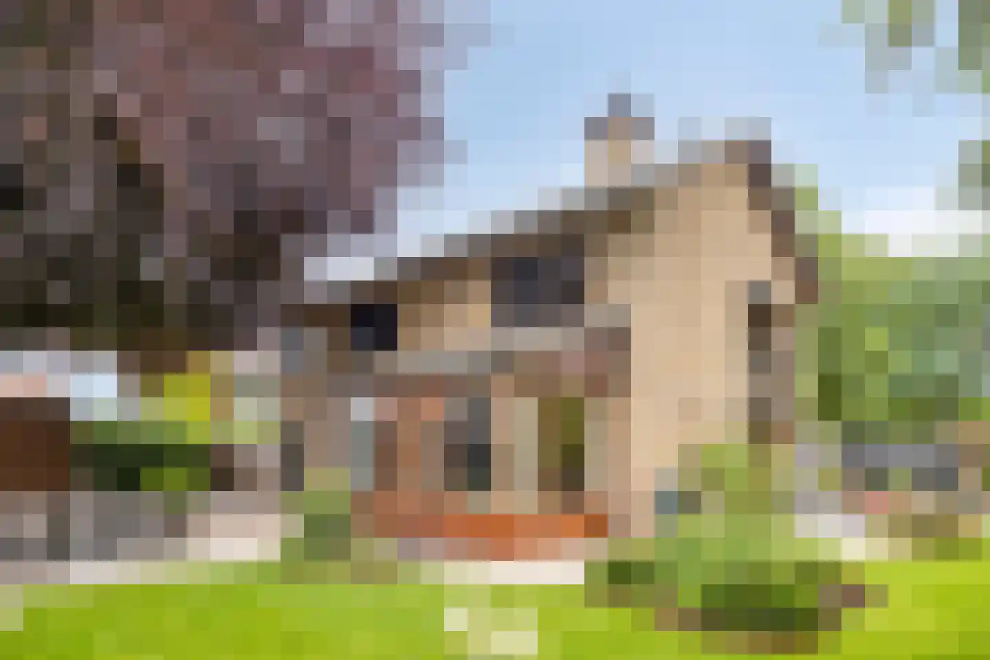 Ambrosiusweg 29 Waalwijk thumbnail 54
