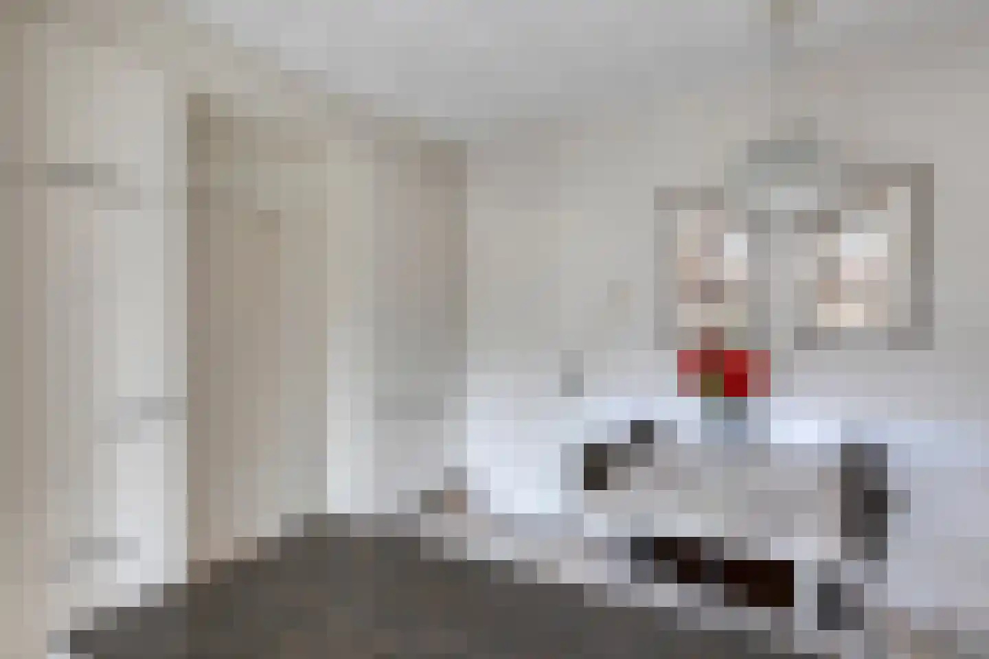 Ambrosiusweg 31 Waalwijk thumbnail 26