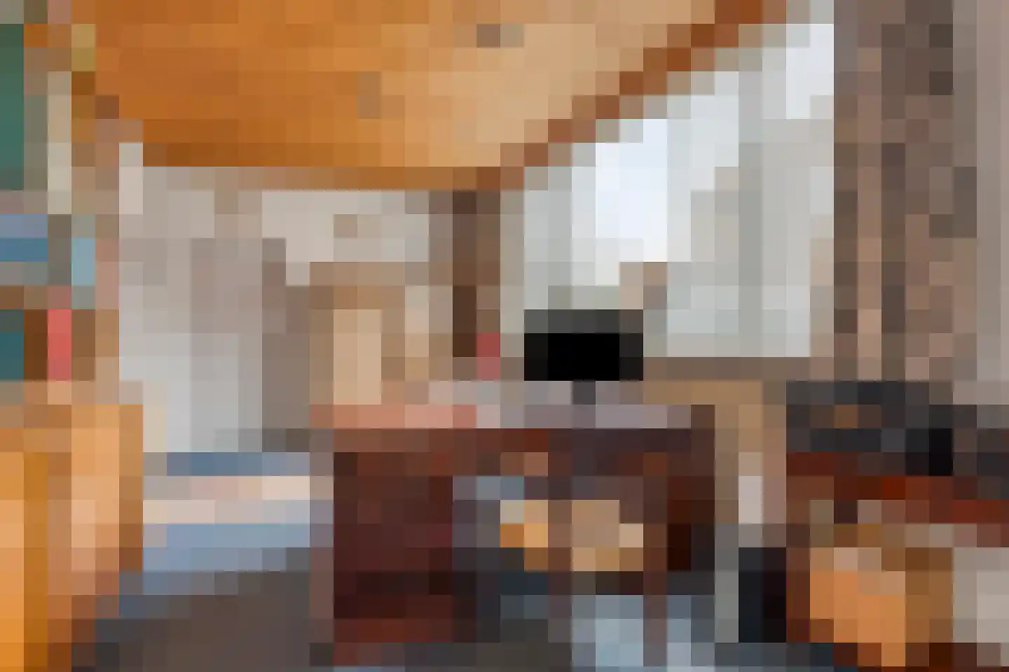 Ambrosiusweg 31 Waalwijk thumbnail 32