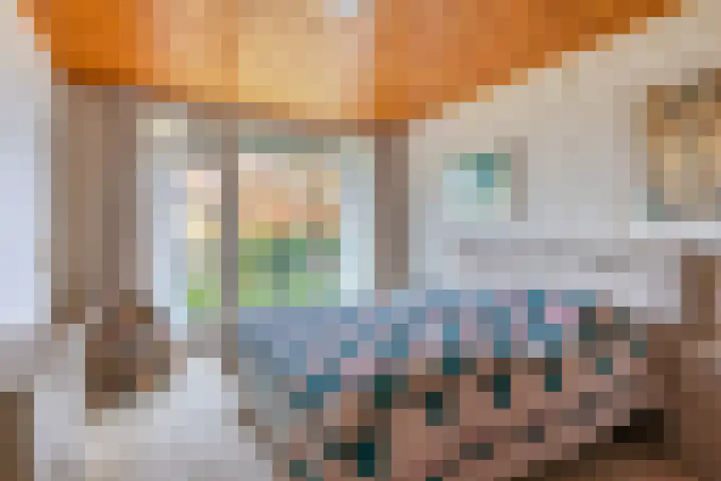 Ambrosiusweg 31 Waalwijk thumbnail 37